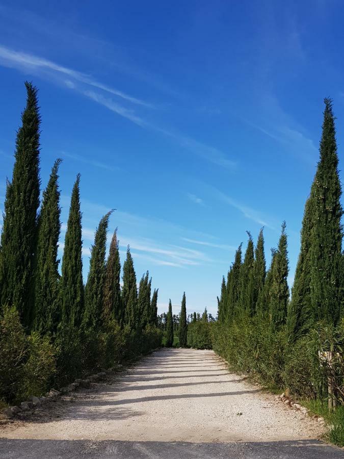 Le Mas De Guiguite Mezoargues ภายนอก รูปภาพ